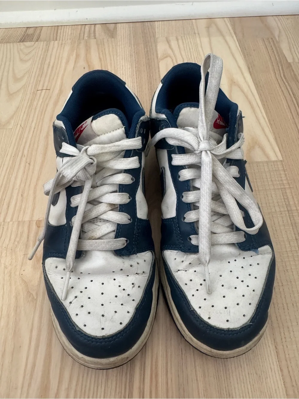 Nike dunks (men’s 7 womens 8.5)